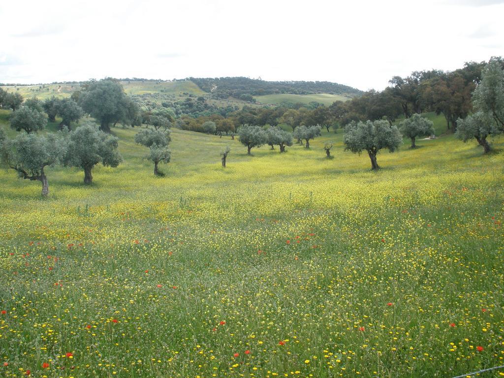 Quinta Da Mata Villa Sobral  Bilik gambar