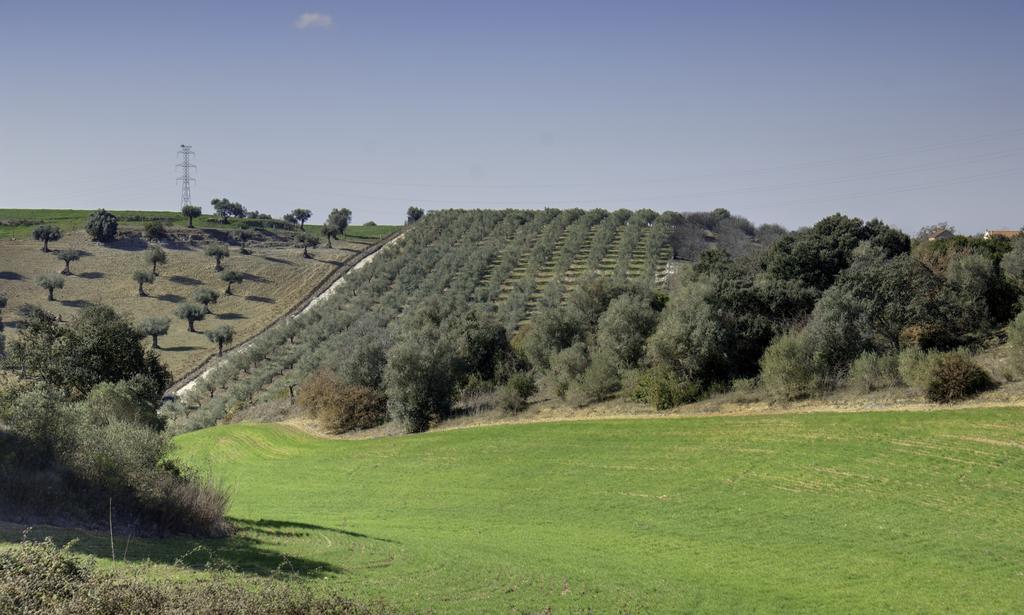 Quinta Da Mata Villa Sobral  Bilik gambar